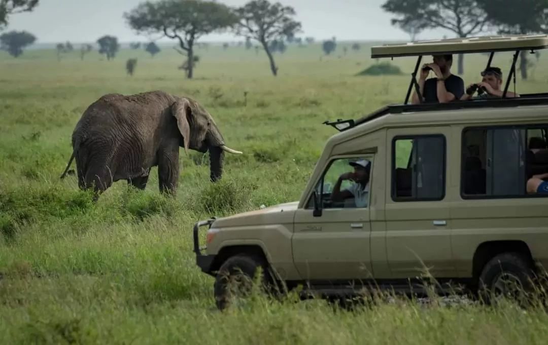 Tanzania 6 Days Luxury Safari